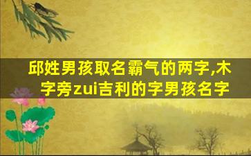 邱姓男孩取名霸气的两字,木字旁zui
吉利的字男孩名字