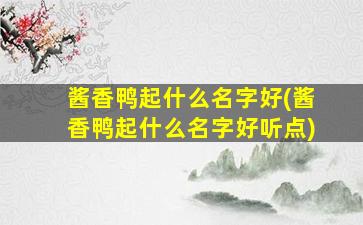 酱香鸭起什么名字好(酱香鸭起什么名字好听点)