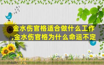 金水伤官格适合做什么工作,金水伤官格为什么命运不定