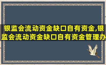 银监会流动资金缺口自有资金,银监会流动资金缺口自有资金管理办法