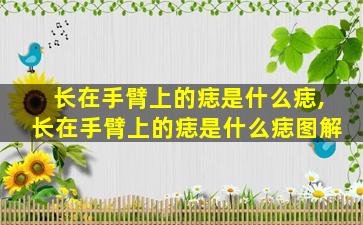 长在手臂上的痣是什么痣,长在手臂上的痣是什么痣图解