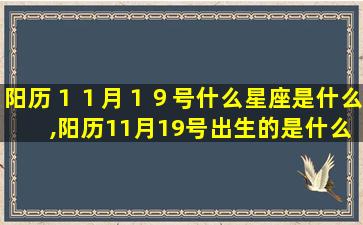 阳历１１月１９号什么星座是什么,阳历11月19号出生的是什么星座