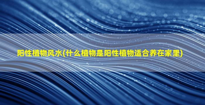 阳性植物风水(什么植物是阳性植物适合养在家里)