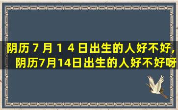 阴历７月１４日出生的人好不好,阴历7月14日出生的人好不好呀