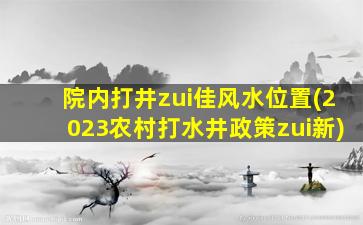 院内打井zui
佳风水位置(2023农村打水井政策zui
新)