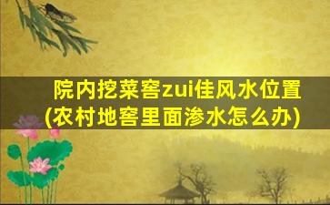 院内挖菜窖zui
佳风水位置(农村地窖里面渗水怎么办)