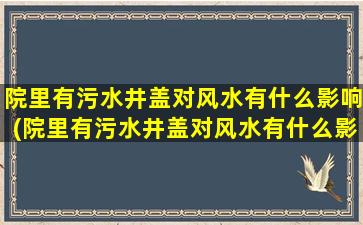 院里有污水井盖对风水有什么影响(院里有污水井盖对风水有什么影响没)