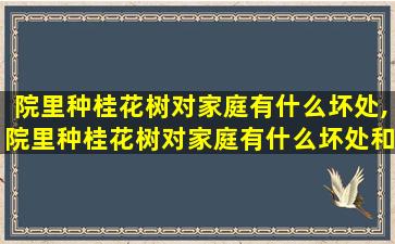 院里种桂花树对家庭有什么坏处,院里种桂花树对家庭有什么坏处和好处