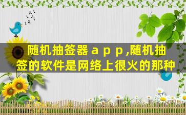 随机抽签器ａｐｐ,随机抽签的软件是网络上很火的那种