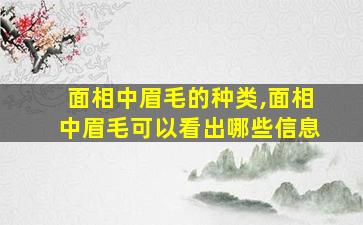 面相中眉毛的种类,面相中眉毛可以看出哪些信息