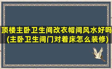 顶楼主卧卫生间改衣帽间风水好吗(主卧卫生间门对着床怎么装修)