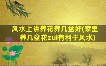 风水上讲养花养几盆好(家里养几盆花zui
有利于风水)