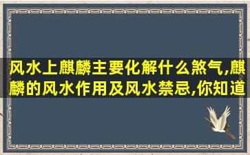 风水上麒麟主要化解什么煞气,麒麟的风水作用及风水禁忌,你知道吗