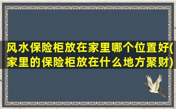 风水保险柜放在家里哪个位置好(家里的保险柜放在什么地方聚财)