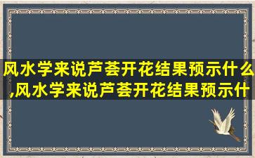 风水学来说芦荟开花结果预示什么,风水学来说芦荟开花结果预示什么意思