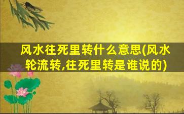 风水往死里转什么意思(风水轮流转,往死里转是谁说的)