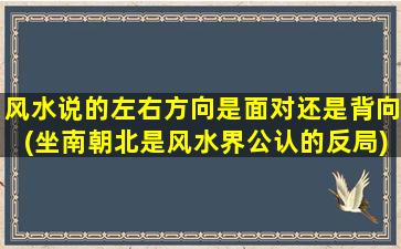 风水说的左右方向是面对还是背向(坐南朝北是风水界公认的反局)