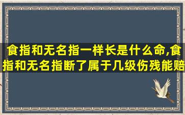 食指和无名指一样长是什么命,食指和无名指断了属于几级伤残能赔付多少钱