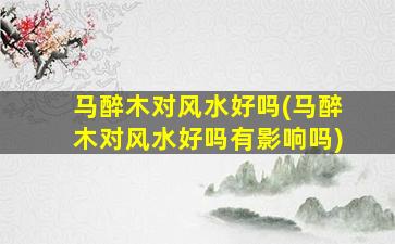 马醉木对风水好吗(马醉木对风水好吗有影响吗)