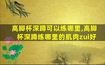 高脚杯深蹲可以练哪里,高脚杯深蹲练哪里的肌肉zui
好