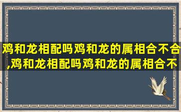 鸡和龙相配吗鸡和龙的属相合不合,鸡和龙相配吗鸡和龙的属相合不合婚姻