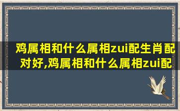 鸡属相和什么属相zui
配生肖配对好,鸡属相和什么属相zui
配生肖配对好不好