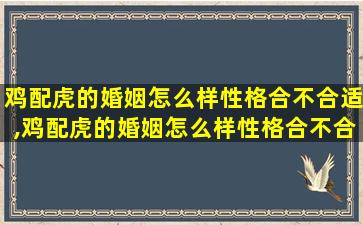 鸡配虎的婚姻怎么样性格合不合适,鸡配虎的婚姻怎么样性格合不合适结婚