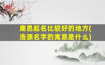 鹿邑起名比较好的地方(浩源名字的寓意是什么)