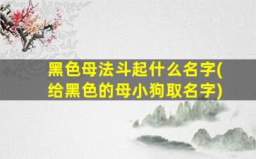 黑色母法斗起什么名字(给黑色的母小狗取名字)