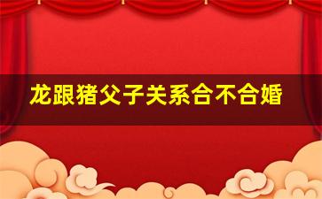 龙跟猪父子关系合不合婚