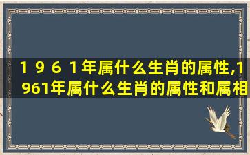 １９６１年属什么生肖的属性,1961年属什么生肖的属性和属相