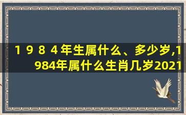 １９８４年生属什么、多少岁,1984年属什么生肖几岁2021