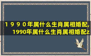 １９９０年属什么生肖属相婚配,1990年属什么生肖属相婚配zui
好