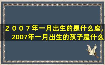 ２００７年一月出生的是什么座,2007年一月出生的孩子是什么命