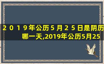 ２０１９年公历５月２５日是阴历哪一天,2019年公历5月25日是阴历哪一天出生