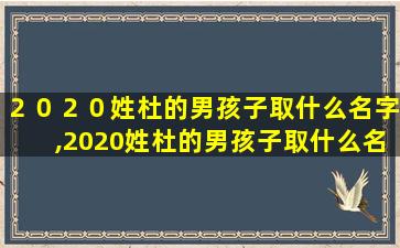 ２０２０姓杜的男孩子取什么名字,2020姓杜的男孩子取什么名字好听