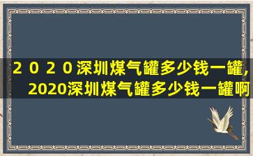 ２０２０深圳煤气罐多少钱一罐,2020深圳煤气罐多少钱一罐啊