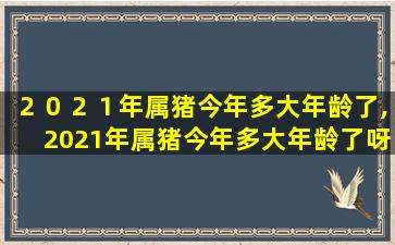 ２０２１年属猪今年多大年龄了,2021年属猪今年多大年龄了呀