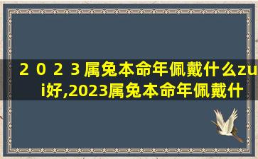 ２０２３属兔本命年佩戴什么zui
好,2023属兔本命年佩戴什么zui
好运气