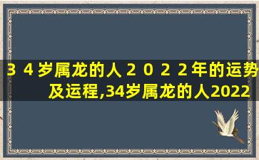 ３４岁属龙的人２０２２年的运势及运程,34岁属龙的人2022年的运势及运程怎么样