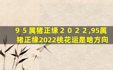 ９５属猪正缘２０２２,95属猪正缘2022桃花运是啥方向